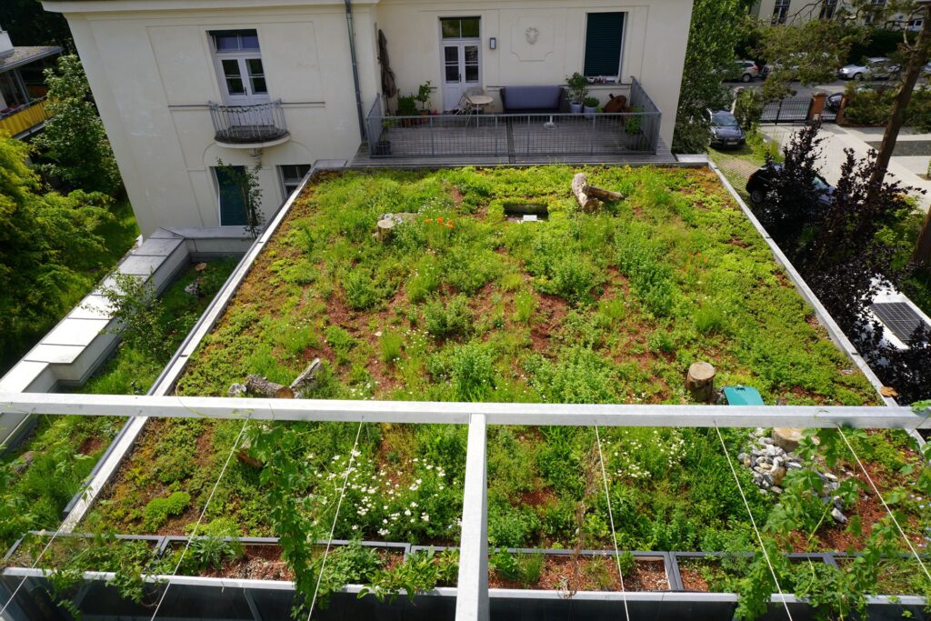 HeinrichBiCool – Climate-positive cooling and biodiversity through intensive building greening