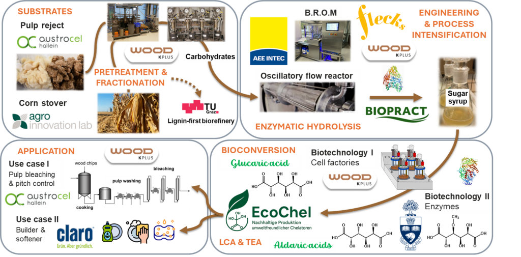 EcoChel – Sustainable Production of Biodegradable Chelating Agents